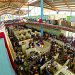 Galeria de imagen