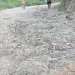 Comunitarios de Guayajayuco y Rio Limpio con el grito al cielo por la pésimas condiciones de sus carreteras