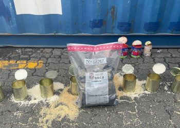 Desarticulan red de transportaban droga en tanques de comida