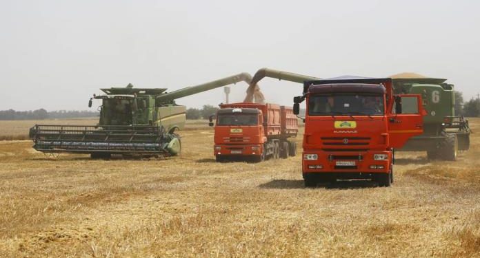 La ONU cuestiona los argumentos rusos para suspender el acuerdo del grano