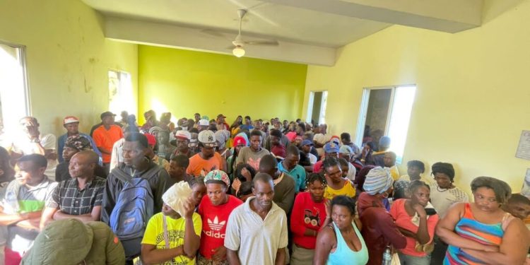 Detienen 650 haitianos indocumentados en las últimas 48 horas