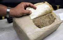 Apresan una persona y ocupan más de 380 libras presumiblemente marihuana