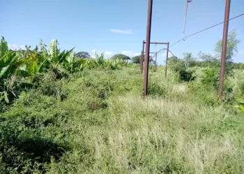Comunitarios denuncian colapso del Proyecto La Cruz Manzanillo