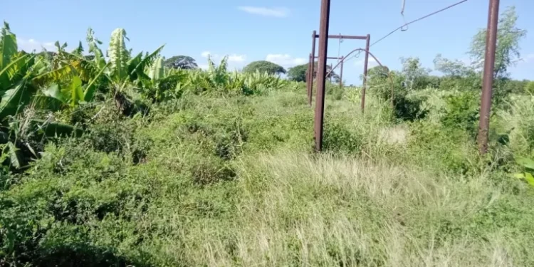 Comunitarios denuncian colapso del Proyecto La Cruz Manzanillo