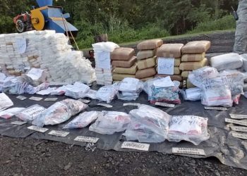 Más de 30 toneladas drogas fueron quemadas este año