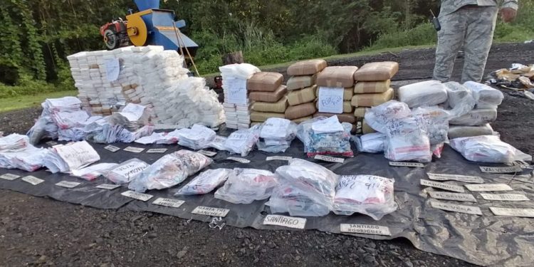 Más de 30 toneladas drogas fueron quemadas este año