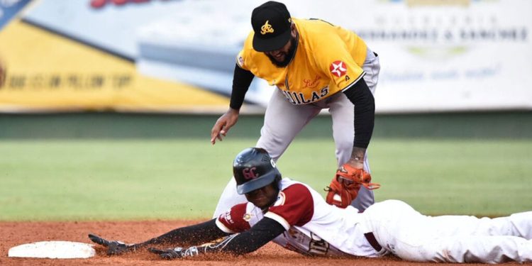 El Licey regresa a la cima; Gigantes ganan