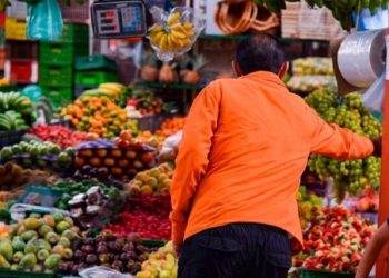 FAO: países ricos deben asumir impacto de la sostenibilidad en los alimentos
