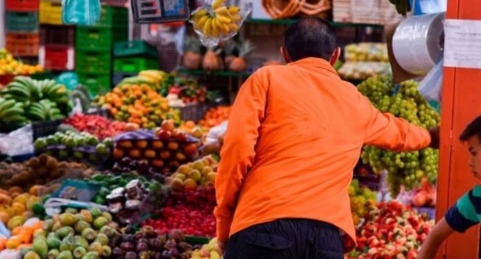 FAO: países ricos deben asumir impacto de la sostenibilidad en los alimentos