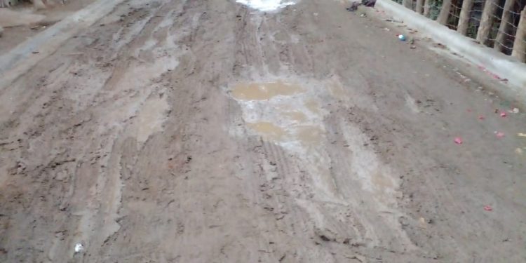 Piden arreglo de calles internas en los bateyes del Proyecto Manzanillo