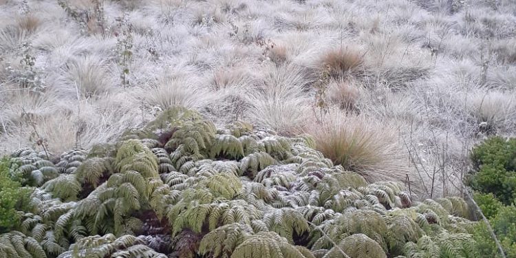La zona de Valle Nuevo registró las primeras formaciones de escarchas