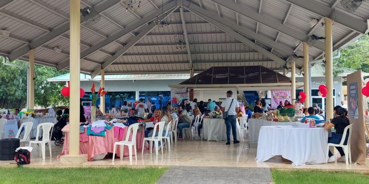 Realizan Brazar de emprendedores en Dajabón