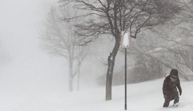 Tormenta invernal en EEUU provoca mínimas históricas en Florida