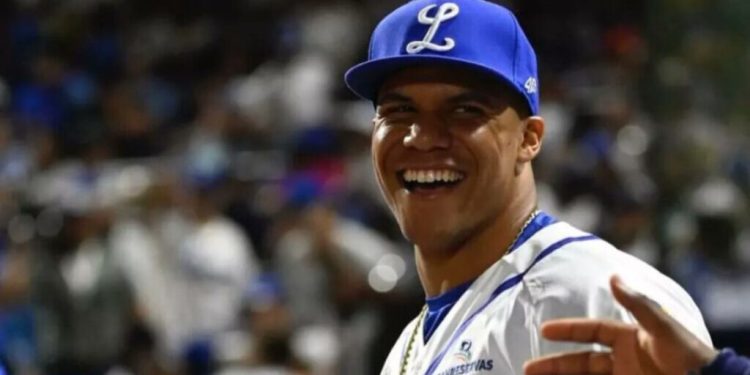Confirman que Juan Soto debutará con el Licey en esta fecha