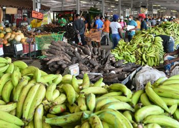 En 11 meses la canasta básica subió RD$2,725.44