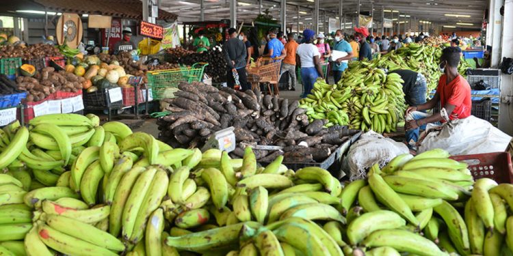 En 11 meses la canasta básica subió RD$2,725.44