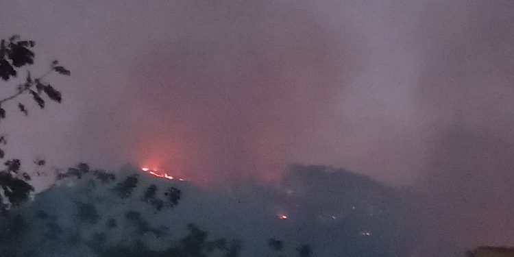 Prenden fuego a vegetación en la cordillera Loma de Cabrera