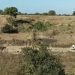 Haitianos depredan el rio masacre al otro lado donde se construye en muro fronterizo en Dajabón 