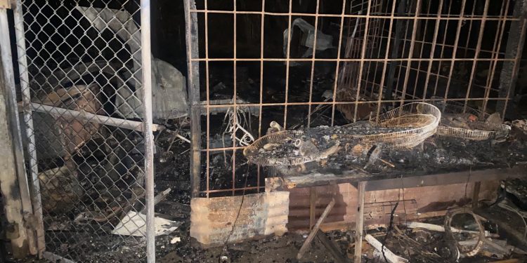 Incendios reducen a cenizas vivienda y finca de pastos en Montecristi y Santiago Rodríguez