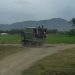 Contingente del ERD detuvo a 80 indocumentados tras su llegada a la provincia Valverde