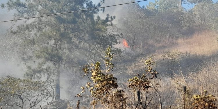 Continúa incendio por cuarto día en Montaña boscosa de Dajabón