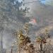 Continúa incendio por cuarto día en Montaña boscosa de Dajabón