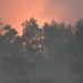 Continúa incendio por cuarto día en Montaña boscosa de Dajabón