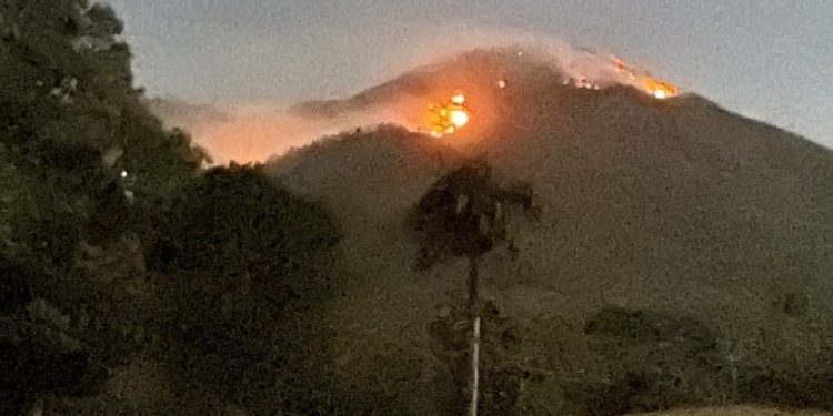 Integran brigada del ejército para tratar de extinguir incendio forestal afecta por quinto día montaña en Dajabón