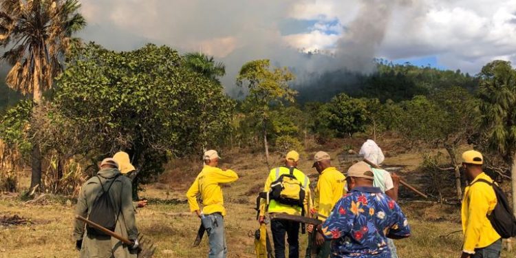 Más de 60 bomberos tratan detener incendio que a consumido cientos de hectárea de bosque en cordillera de Dajabón
