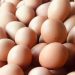 Productores califican como «desacertada» medida que suspende exportación de huevo