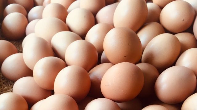 Productores califican como «desacertada» medida que suspende exportación de huevo