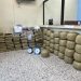 Autoridades ocupan 573 libras de marihuana en Santiago