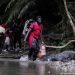 Al menos 36 migrantes murieron en 2022 al intentar cruzar la selva de Darién