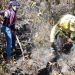Medio Ambiente informa extinción de incendios forestales en Dajabón