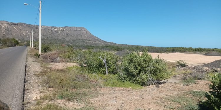 Denuncian relleno de humedal para apartar solares en área protegida «el Morro de Montecristi»