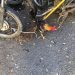Apresan hombre con un saco de gallos de pelea robados en Santiago Rodríguez