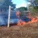 Dos incendios forestales arrasan cientos de tarea de bosque seco en Dajabón