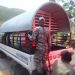 Apresan 37 haitianos ilegales en la costa de Barahona