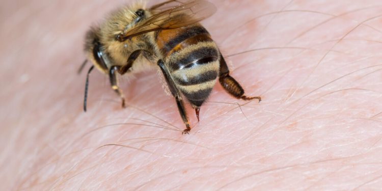 Muere adolescente atacado por abejas en San Francisco de Macorís