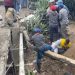 Accidente deja varias personas heridas de gravedad en Villa Vásquez