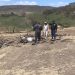 Apresan dueño de finca acusado de la muerte de 10 burros en Santiago Rodríguez