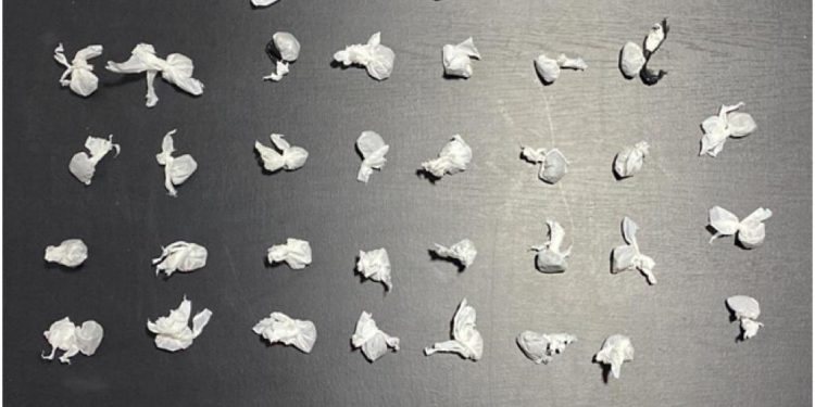 Autoridades ocupan 45 porciones y buscan distribuidor escapó en Mao