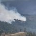 Fuego afecta sembradíos de pinos en Sajoma