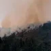 Incendios forestales