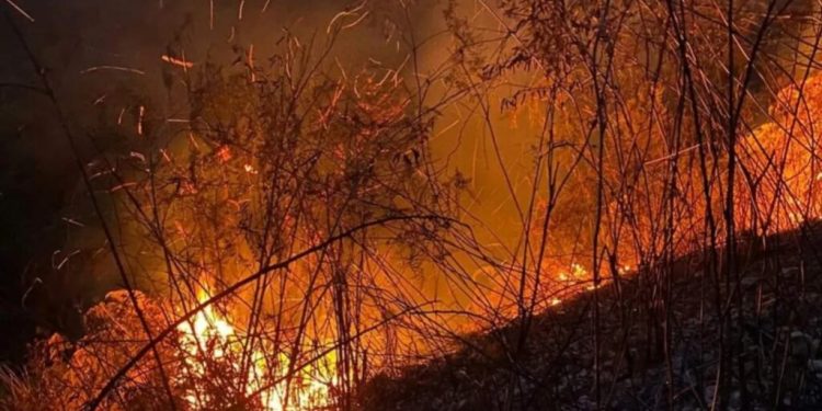 Se registra incendio en lomas del municipio Polo de Barahona