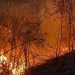 Se registra incendio en lomas del municipio Polo de Barahona