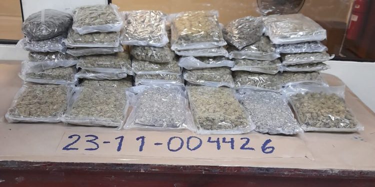 Desarticulan red traía marihuana desde EEUU; ocupan 40 paquetes y apresan a cinco personas
