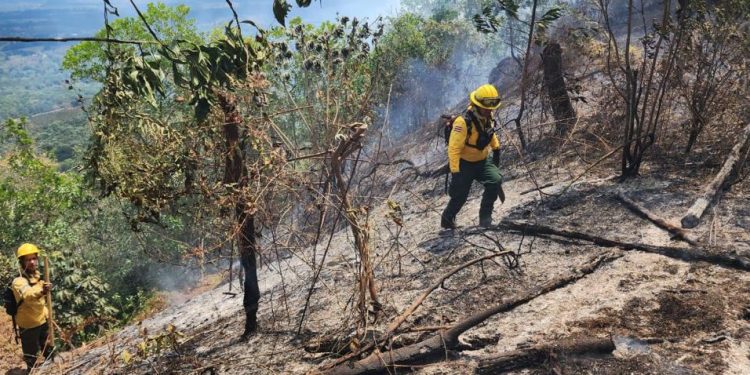 Medio Ambiente persigue a desaprensivos provocaron incendios