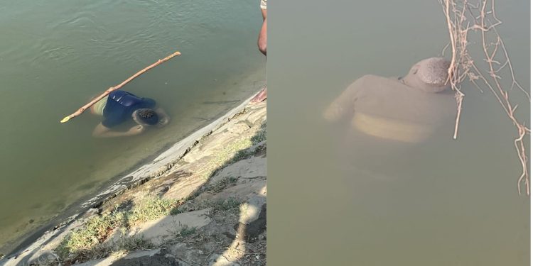 En cuentan cadáver de dos inmigrantes en Canal de riego de Vila Vásquez Montecristi