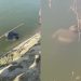 En cuentan cadáver de dos inmigrantes en Canal de riego de Vila Vásquez Montecristi